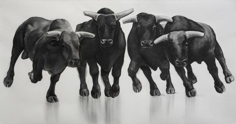 William Beckman, The Bull Series, #10 (SOLD), 2017, charcoal on paper , 66 x 127 inches