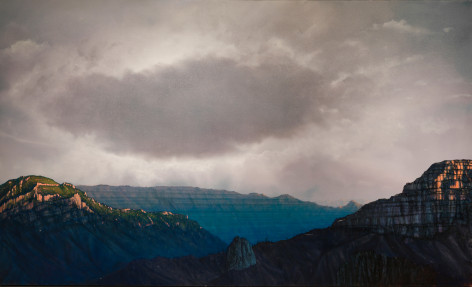 tula telfair, Wilderness Does Not Locate Itself, 2014, oil on canvas, 72 x 119 inches