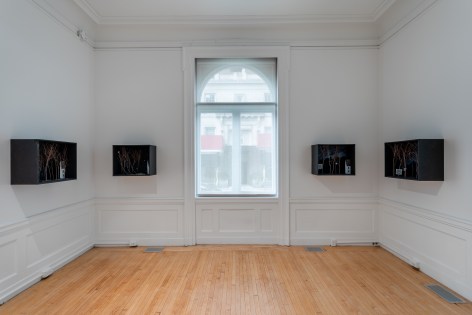 Installation view, Dioramas, 2020-21