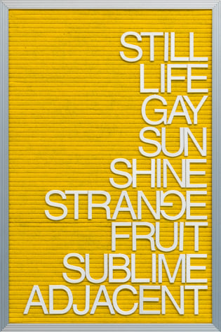 Maynard Monrow, Sublime Adjacent, 2016