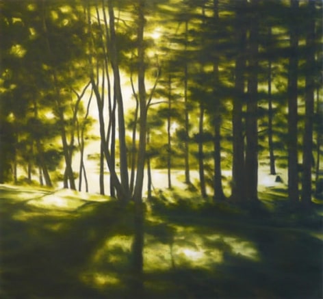 April Gornik, Within the Woods, 2011