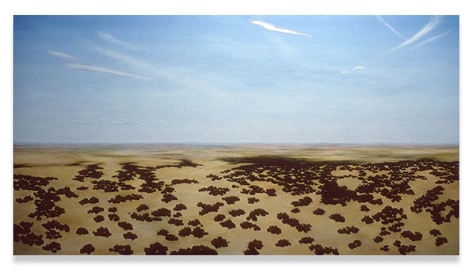 April Gornik, Desert, 1980