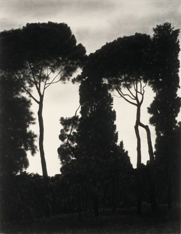 April Gornik, Silhouetted Trees, 2003