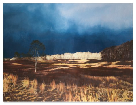 Field, 2019, Oil on linen, 75 x 100 inches, 190.5 x 254 cm