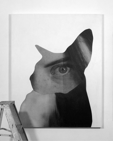 The Peering (Cat)