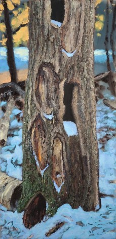 Image of Scott Bennett's painting depicting the trunk of a cedar tree in the snow.