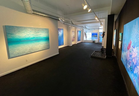 Gallery view of &quot;Utopian Reefscapes&quot; at Caldwell Gallery Hudson.