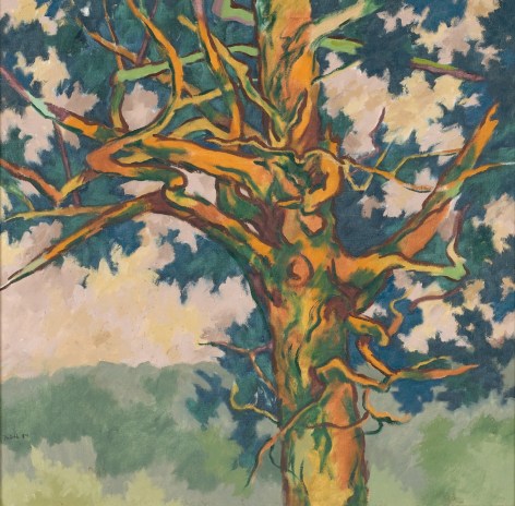 Oil painting of late sun on Oak Tree by Easton Pribble.