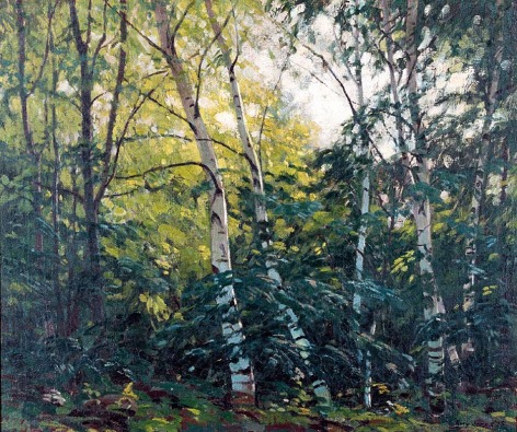 Image of Amy Jones' sold 1928 painting of Birch trees.