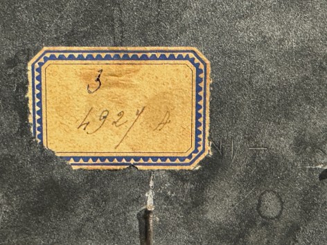 Richard Blow, Untitled (Nude), 1958