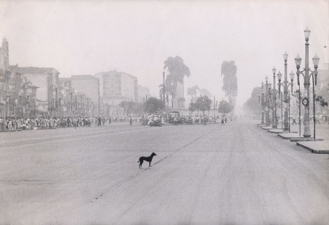 Leonard McCombe, Lonely Dog, Rio de Janeiro, ​1955. Small black dog in the center of an empty street. A large crowd gathers in the distance in the center left of the frame.