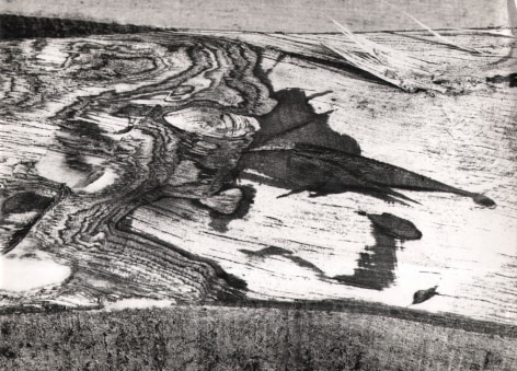 Mario Giacomelli, Motif Suggested by the Cut of the Tree, ​n.d. Detail of tree bark featuring raised sprinters. The left half of the frame features whirling shapes.