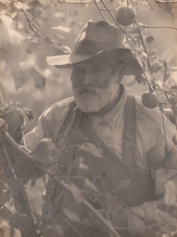 Doris Ulmann, New England (Apple picker), ​1928&ndash;1934. Older bearded man in a hat and overalls stands amongst the branches of an apple tree.