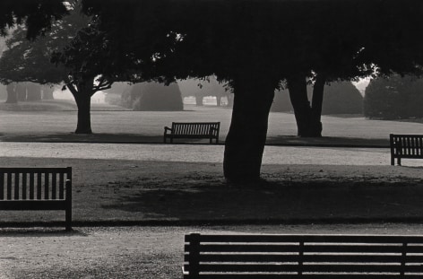 11. Michael O'Cleary, Untitled, c. 1955&ndash;1961. Park scene with scattered trees and benches in silhouette.