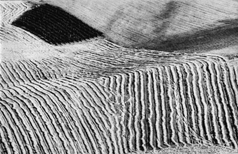 Mario Giacomelli, On Being Aware of Nature, ​1954&ndash;2000. Abstract farmland landscape with linear patterns.