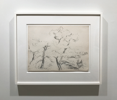 Pencil drawing of trees on white paper in a white frame