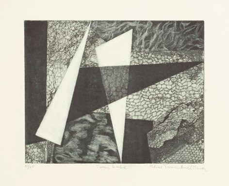 Swan Lake, 1950, etching with aquatint on paper, 7 &frac34; x 9 &frac34; in. (image size), 12 1/8 x 17 1/8 in. (sheet size), Edition 11/25, editioned l.l., titled l.c., signed l.r.
