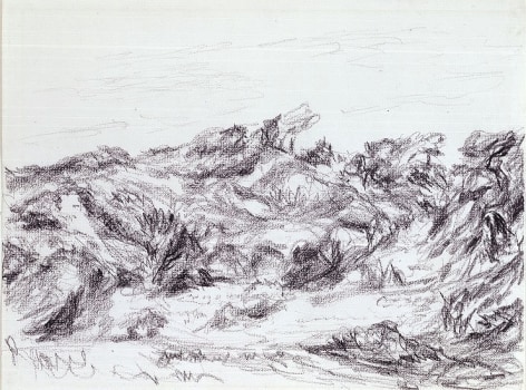 Untitled (Dunes with peaked brush), 1953 (August 8)