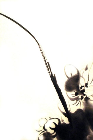 Zhou Tiehai. Hibiscus, 2008. Acrylic(airbrush) on canvas, 150 x 100 cm.&nbsp;Courtesy of the artist &amp;amp; PKM Gallery.