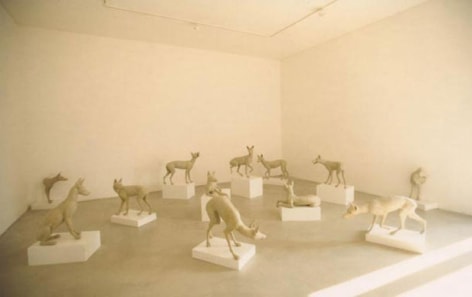 Michael Joo. Un-pack(hairless), 2002. Mixed media, Installation size variable.&nbsp;Courtesy of the artist &amp;amp; PKM Gallery.