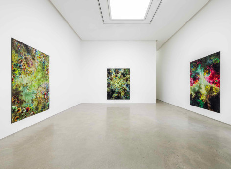 Installation view of Thomas Ruff: d.o.pe. at PKM. Courtesy of PKM Gallery.