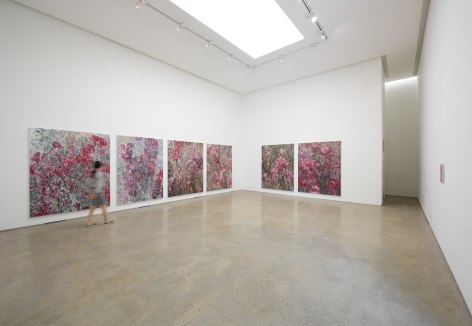 Installation view of&nbsp;Kim Jiwon&rsquo;s solo Exhibition&nbsp;at PKM., Courtesy of PKM Gallery.