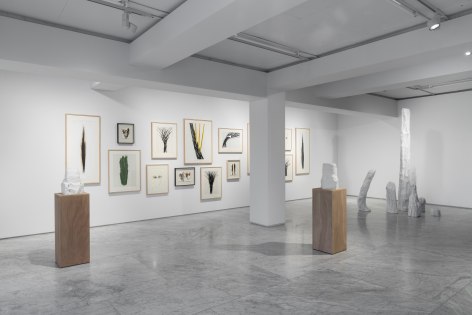 Installation view of CHUNG, Hyun: The Cumulative Burst at PKM+. Courtesy of PKM Gallery.