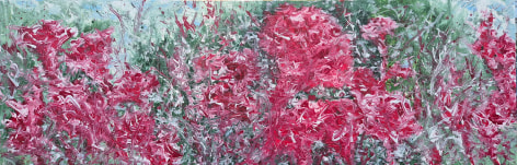 Kim Jiwon, 맨드라미 Mendrami, 2024, Oil on canvas, 36 x 110cm.