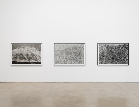 Installation view of&nbsp;Jungjin Lee: VOICE at PKM &amp;amp; PKM+. Courtesy of PKM Gallery.