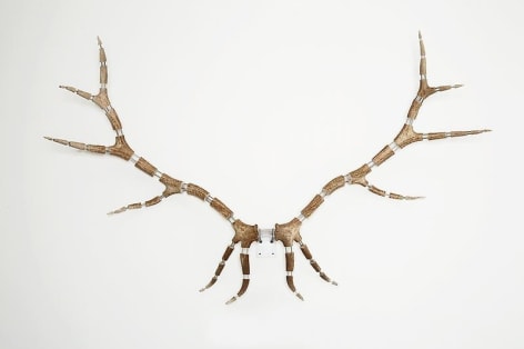 Michael Joo. Improved Rack (Elk #14), 2008. Elk antlers, stainless steel, 143 x 230 x 45 cm.