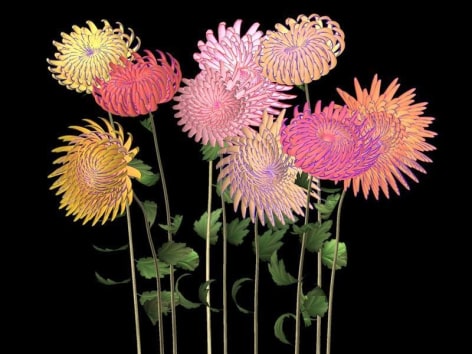 Jennifer Steinkamp. Hurdy Gurdy Man (Chrysanthemums) (Ed. 4/6), 2006. Video installation, Dimensions variable.&nbsp;Courtesy of the artist &amp;amp; PKM Gallery.