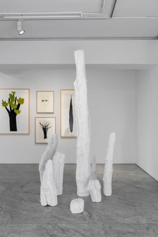 Installation view of CHUNG, Hyun: The Cumulative Burst at PKM+. Courtesy of PKM Gallery.