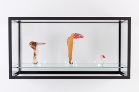 Carsten H&ouml;ller. Double Mushroom Vitrine (Threefold), 2015. Cast polyurethane mushroom replicas in various sizes, acrylic paint, glass discs, metal pins, vitrine glass, powder-coated metal framework, 60 x 26 x 31 cm. &copy; Carsten H&ouml;ller. Courtesy the artist and Gagosian Gallery.