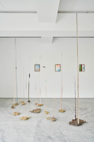 Installation view of Echoes from the Cabinet at PKM+. Courtesy of PKM Gallery.