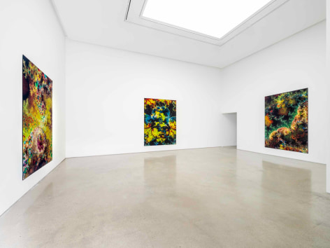 Installation view of Thomas Ruff: d.o.pe. at PKM. Courtesy of PKM Gallery.