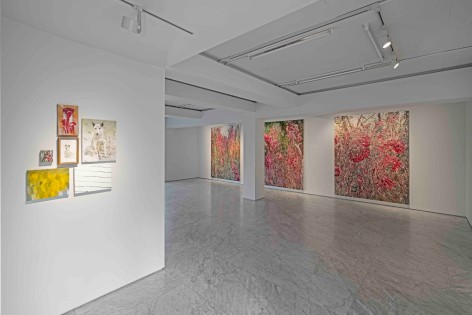 Installation view of Kim Jiwon:&nbsp;canvas fly at PKM &amp;amp; PKM+.&nbsp;, Courtesy of PKM Gallery.