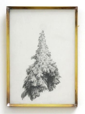 Koo Hyunmo. Rebellious Tree, 2017. Pencil on paper, 21.6 x 15.2 cm.&nbsp;Courtesy of the artist &amp;amp; PKM Gallery.