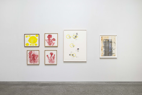Installation view of on paper at PKM., Courtesy of PKM gallery.
