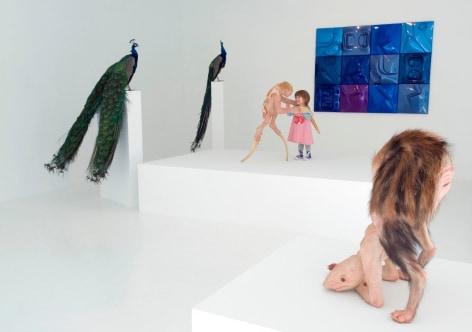 PATRICIA PICCININI The Welcome Guest 2011. Installation view: Conner Contemporary Art.