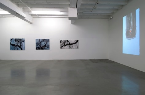 MARIA FRIBERG transmission 2010. Installation view: Conner Contemporary Art.