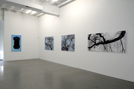 MARIA FRIBERG transmission 2010. Installation view: Conner Contemporary Art.
