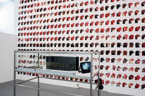 KOEN VANMECHELEN Leaving Paradise 2013. Installation view: CONNERSMITH.