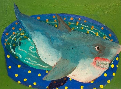 PHILIP HINGE Domestic Shark 2013, acrylic on canvas, 12 x 16 inches