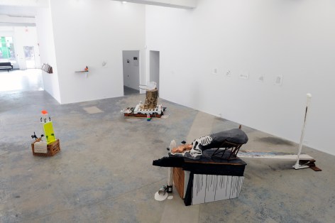 TAYLOR BALDWIN Living Fossil 2010. Installation view: Conner Contemporary Art.