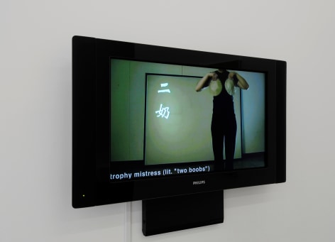 TING ZHANG 26 Women's Titles 2010, digital video, run time: 8:35. Installation view: Conner Contemporary Art.