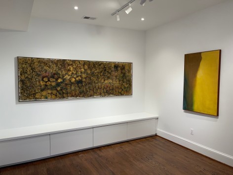Installation view: Mixed Dapple with White Edge and Larch