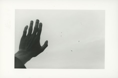 A black-and-white photograph of a hand pressed against the sky with birds circling overhead