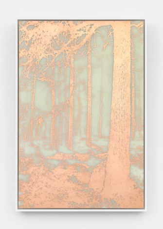 A photograph of a copper-etching that depicts a heavily-wooded landscape wherein the positive space is in copper (bright orange).