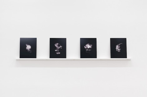 A set of four prints that are on a white shelf, leaning against a white wall.