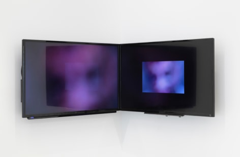 the flat panel monitors installed edge to edge in a corner of the gallery showing images of snakes